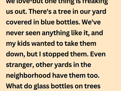 What We Discovered About the Glass Bottle Trees in Our Neighborhood