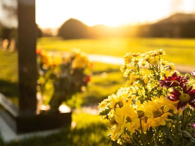 A Boy Visited the Grave of His Adoptive Mother He Resented in Life, and Found an
Envelope with His Name on It