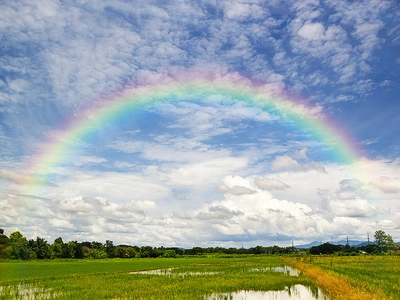 What Are The Colors In The Rainbow?