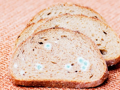 Is Stale Bread Safe to Eat? The Shocking Truth That Will Change How You See Food Waste Forever