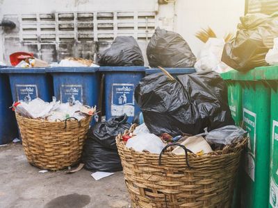 A Woman Threw Away Her Childhood Jacket at the Dump – The Next Day, a Homeless
Woman Showed Up at Her Doorstep Holding It