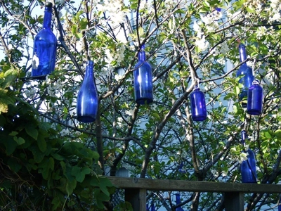 Lowcountry Life: The legend of the bottle tree - Explore ...