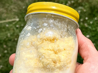 How To Make Raw Butter - The Family Cow