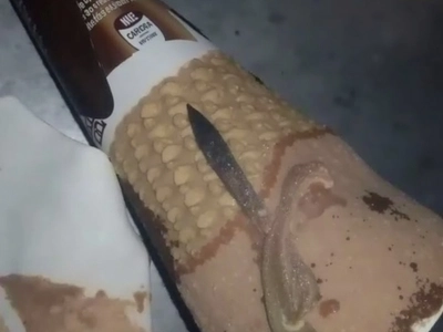 My daughter opened a package of chocolate ice cream and found something strange inside: we were surprised to realize what it was