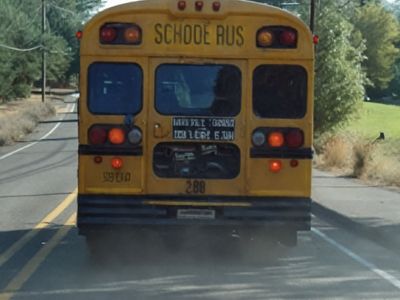 I Saw a Child on the School Bus Hitting the Back Window and Yelling for Help